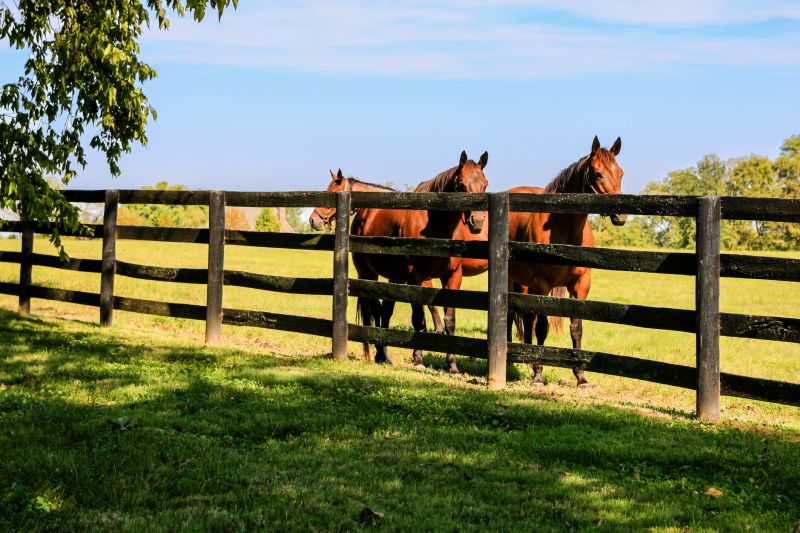 Equine Fence Installation in South Houston, TX
